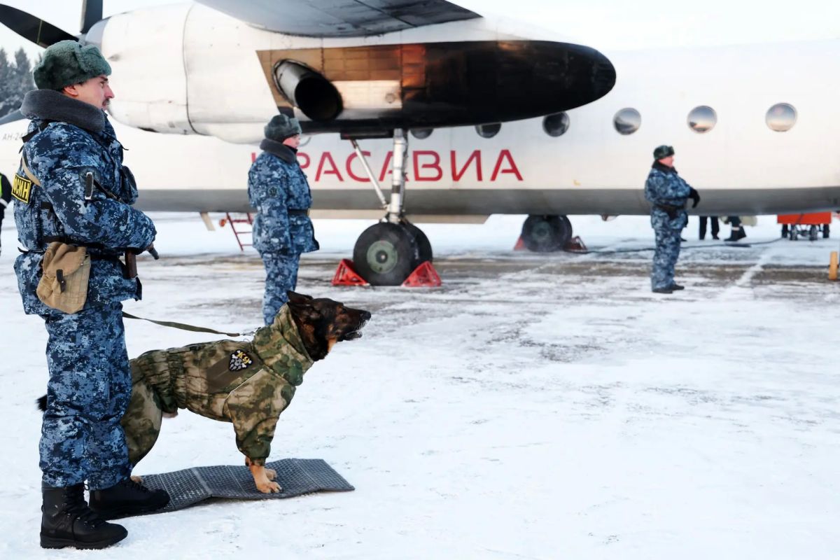 Сегодня с профессиональным праздником мы поздравляем более 9 тысяч специалистов-кинологов и свыше 13 тысяч их четвероногих, хвостатых и верных служебных напарников кинологической службы уголовно-исполнительной системы... Сегодня с профессиональным праздником мы поздравляем более 9 тысяч специалистов-кинологов и свыше 13 тысяч их четвероногих, хвостатых и верных служебных напарников кинологической службы уголовно-исполнительной системы...