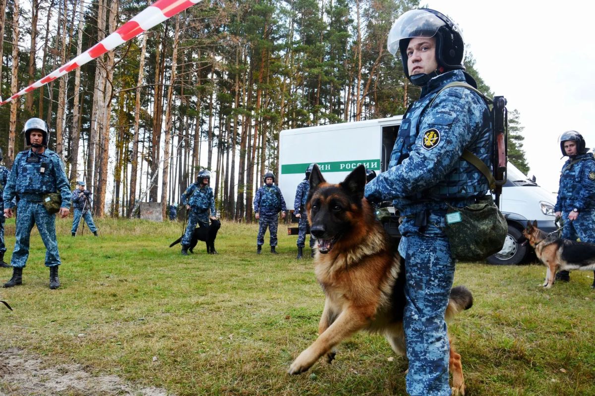 Сегодня с профессиональным праздником мы поздравляем более 9 тысяч специалистов-кинологов и свыше 13 тысяч их четвероногих, хвостатых и верных служебных напарников кинологической службы уголовно-исполнительной системы... Сегодня с профессиональным праздником мы поздравляем более 9 тысяч специалистов-кинологов и свыше 13 тысяч их четвероногих, хвостатых и верных служебных напарников кинологической службы уголовно-исполнительной системы...