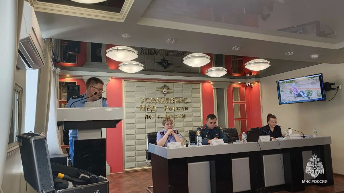 Взаимодействие в расследовании пожаров Взаимодействие в расследовании пожаров