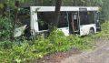 В Соликамске в ДТП с рейсовым автобусом пострадали четыре человека