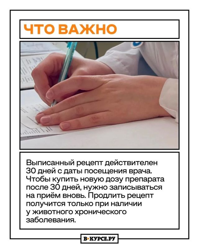 Животная бюрократия: как переход на продажу ветпрепаратов по рецепту сказался на пермском бизнесе и какое мнение у пермяков Животная бюрократия: как переход на продажу ветпрепаратов по рецепту сказался на пермском бизнесе и какое мнение у пермяков