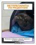 Животная бюрократия: как переход на продажу ветпрепаратов по рецепту сказался на пермском бизнесе и какое мнение у пермяков