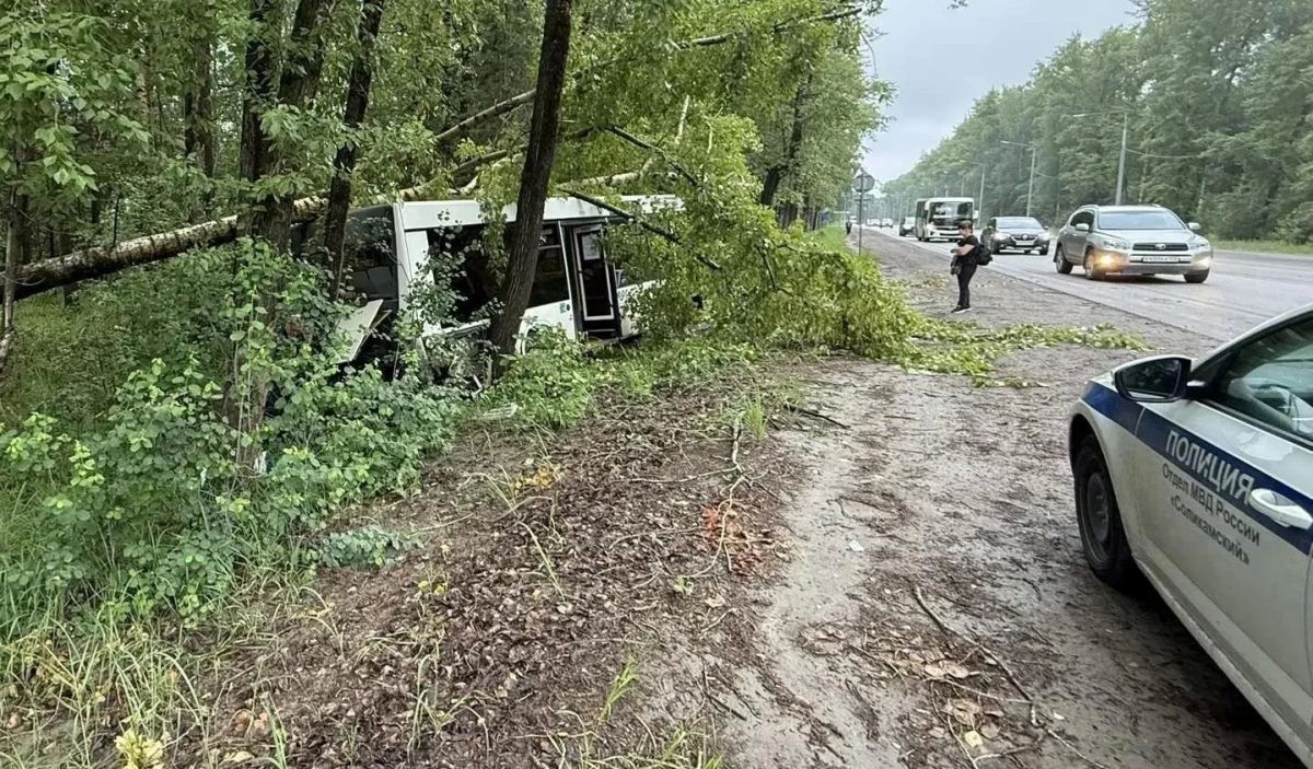 Отказали тормоза? Четыре человека пострадали после съезда автобуса в кювет Отказали тормоза? Четыре человека пострадали после съезда автобуса в кювет
