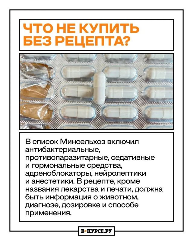 Животная бюрократия: как переход на продажу ветпрепаратов по рецепту сказался на пермском бизнесе и какое мнение у пермяков Животная бюрократия: как переход на продажу ветпрепаратов по рецепту сказался на пермском бизнесе и какое мнение у пермяков