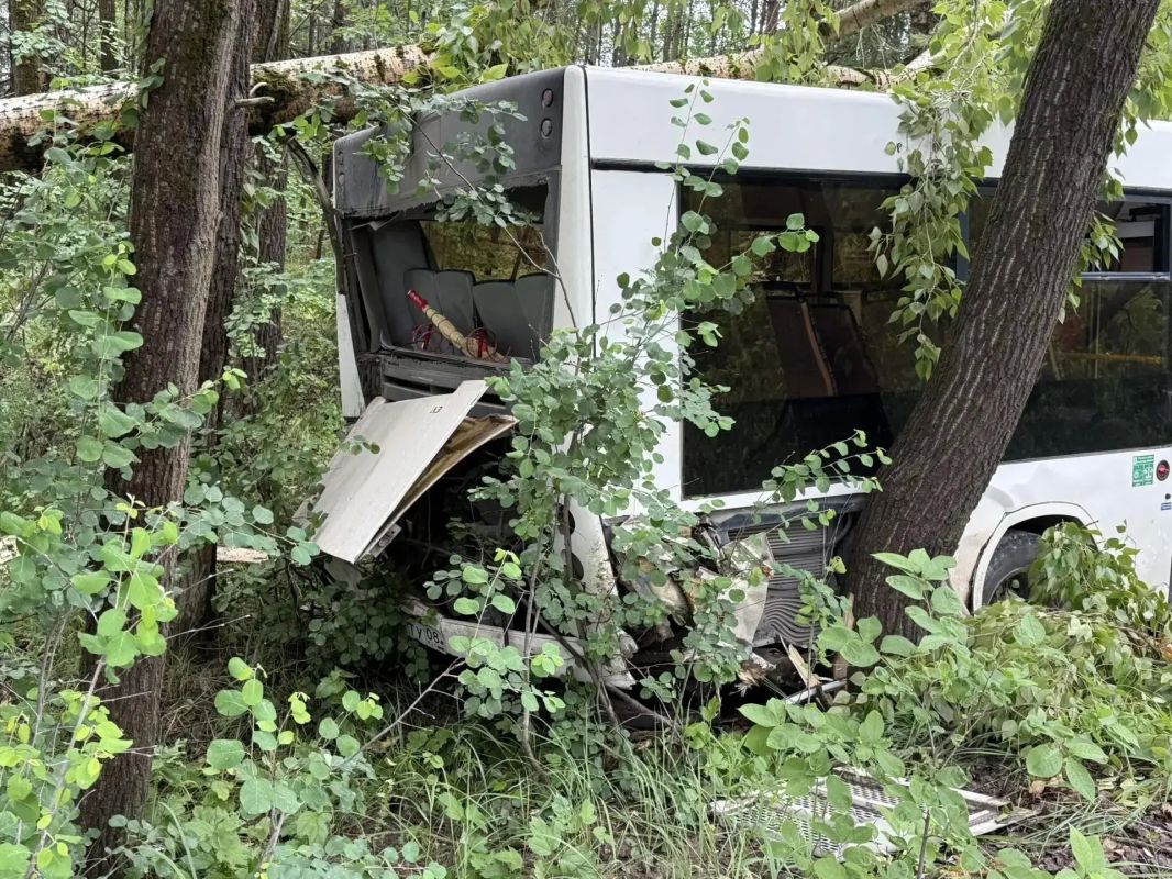 Отказали тормоза? Четыре человека пострадали после съезда автобуса в кювет Отказали тормоза? Четыре человека пострадали после съезда автобуса в кювет