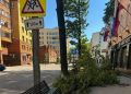 ����������� ������ �� ������ ���� ������������