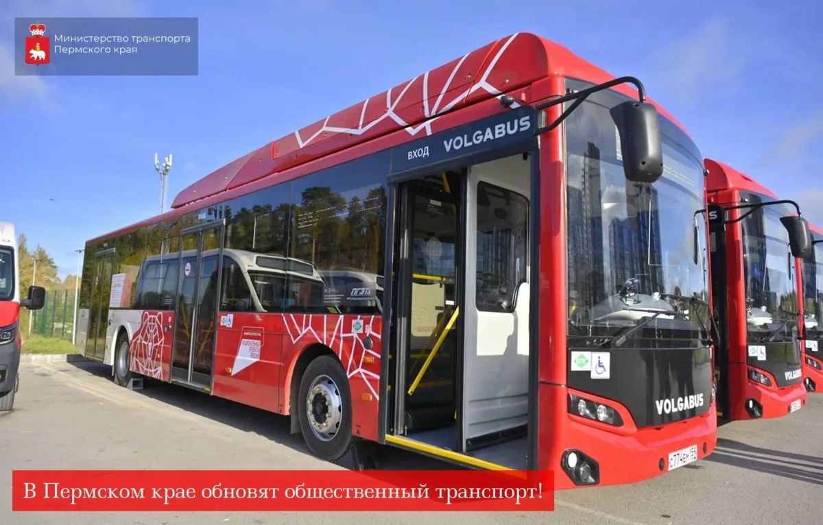 В этом году 11 округов обновят общественный транспорт!