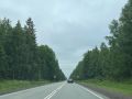 В Пермском крае с начала 2026 года водители сбили 66 диких животных
