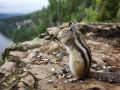 Доброе утро, пермяки!. Усьва Хорошего вам дня : Марина Микрюкова Читать нас в Макс