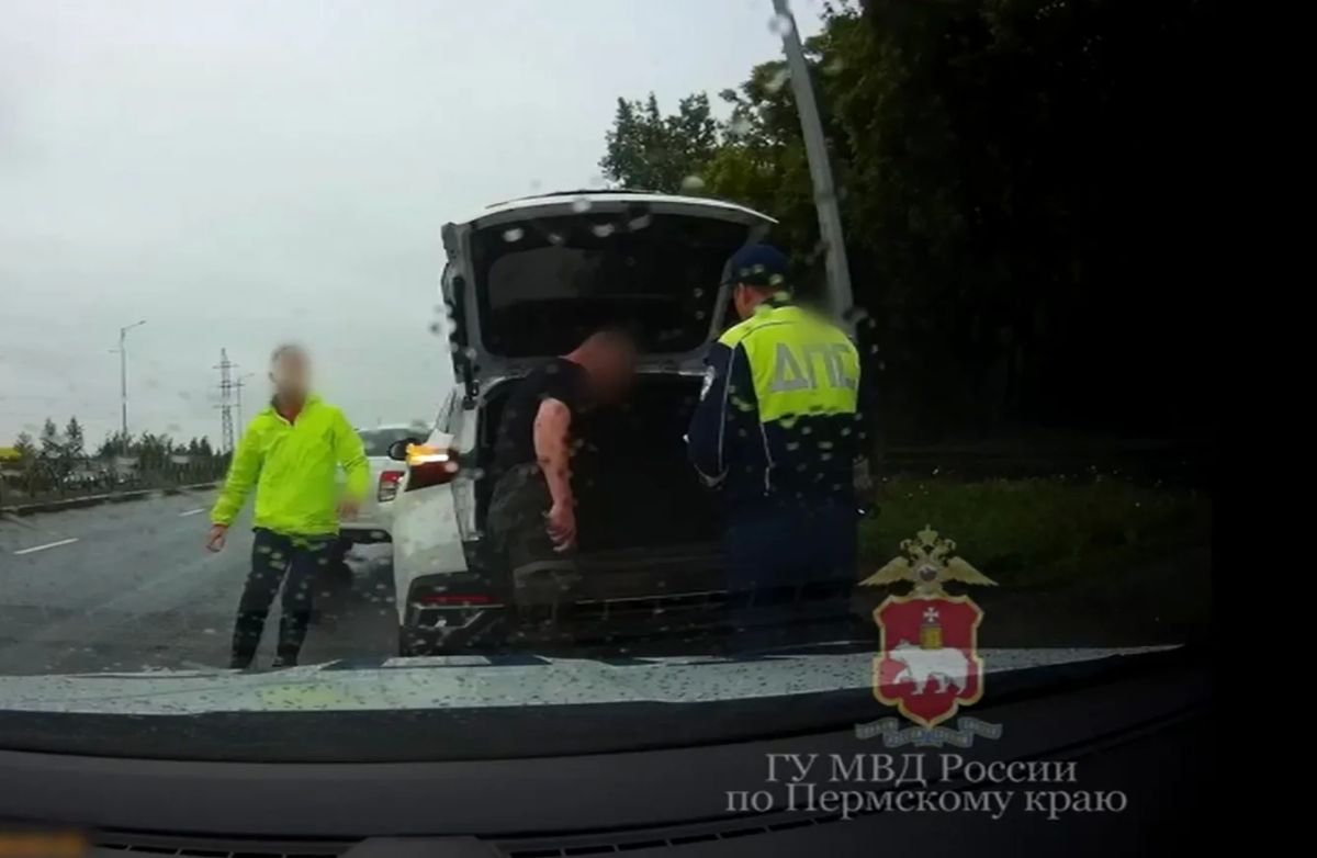 Полицейские Прикамья изъяли 10 килограммов наркотиков Полицейские Прикамья изъяли 10 килограммов наркотиков