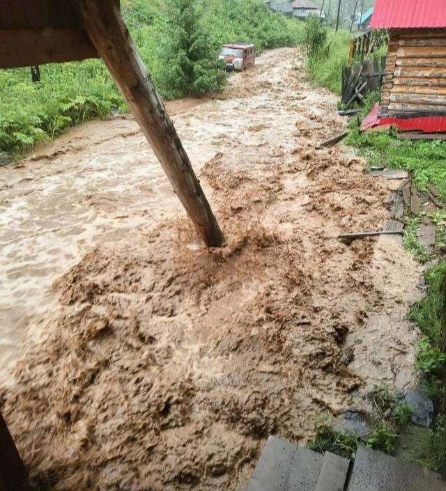 В Пермском крае художницу унесло паводком