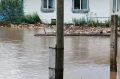 ������ ����������� ���� � ������� �������� ������������ ������ ������������