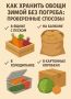 Эффективные способы хранения овощей зимой без погреба