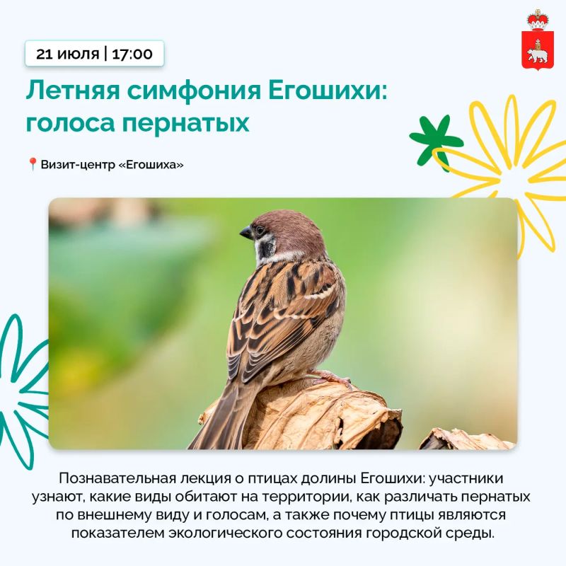 Открываем природу рядом с домом Открываем природу рядом с домом