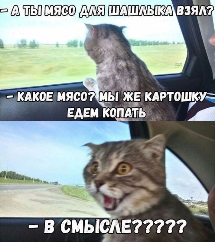 День дачника отмечается сегодня