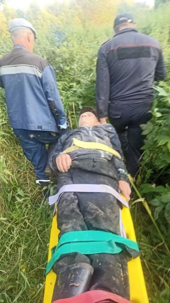 В Пермском крае полицейские совместно со спасателями установили местонахождение заблудившегося в лесу пенсионера В Пермском крае полицейские совместно со спасателями установили местонахождение заблудившегося в лесу пенсионера