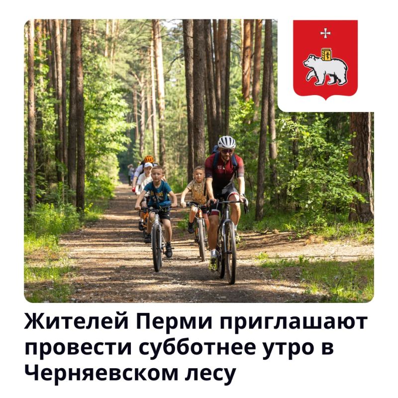 Спасаемся от жары в тени Черняевского леса
