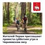 Спасаемся от жары в тени Черняевского леса