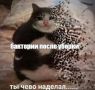 ���� �������: �������� �����, ������ � ��������� ����� ������ ������� ����, ��� �� �������