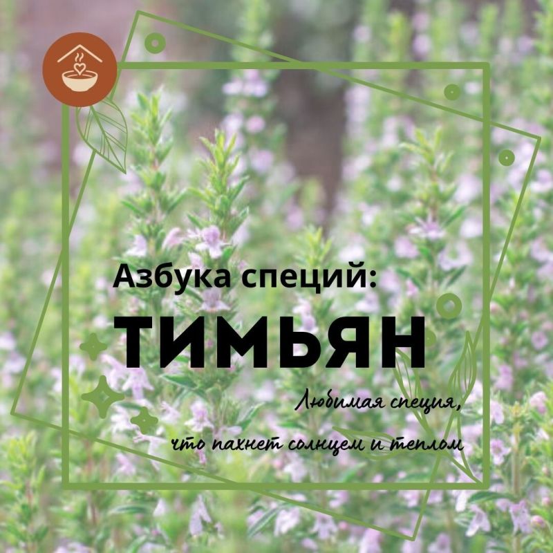 Тимьян: ароматное солнце на вашей кухне