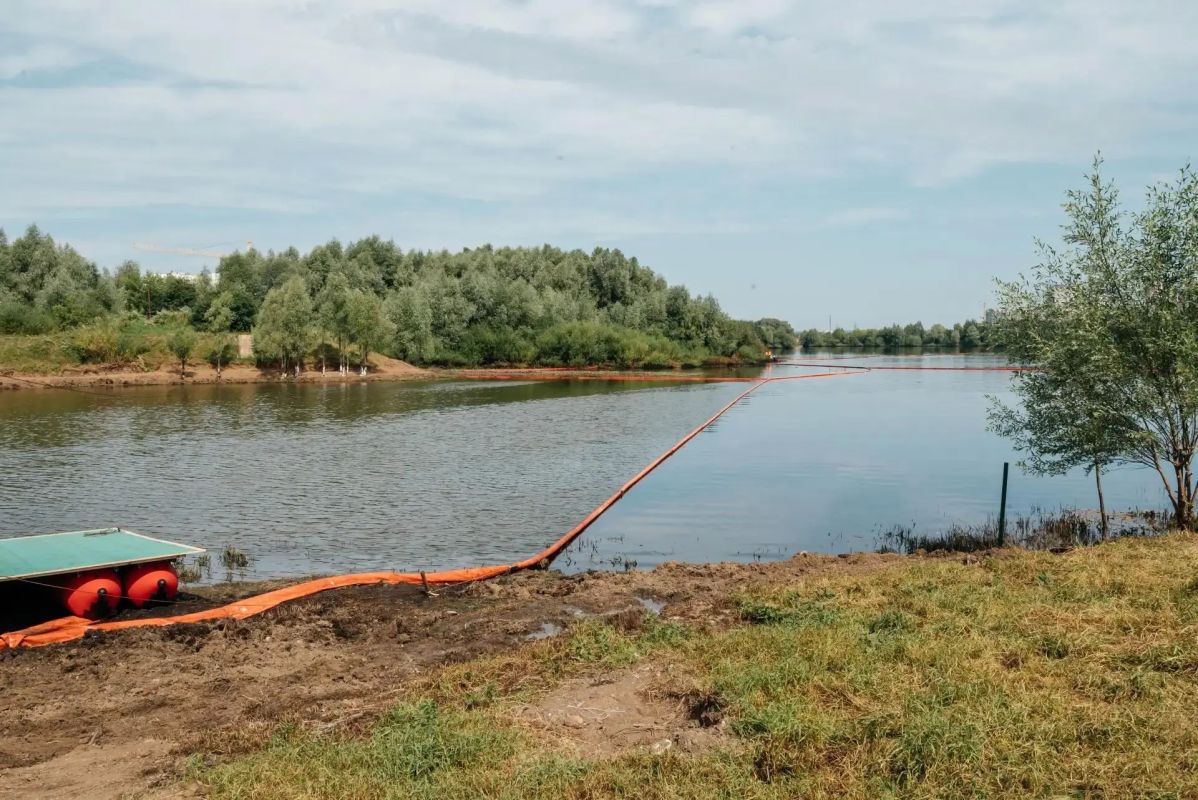 Спасенных после разлива нефти уток выпустили обратно в водоемы Пермского округа Спасенных после разлива нефти уток выпустили обратно в водоемы Пермского округа