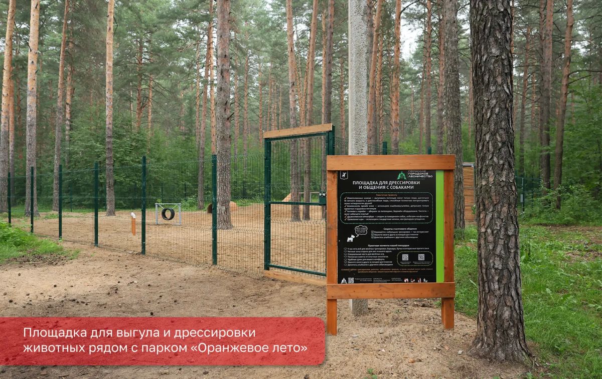Эдуард Соснин: Активно работаем над созданием комфортной городской среды, в том числе для владельцев домашних питомцев Эдуард Соснин: Активно работаем над созданием комфортной городской среды, в том числе для владельцев домашних питомцев