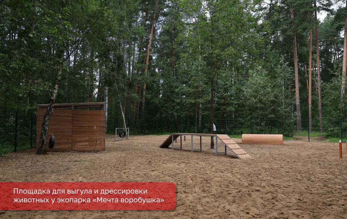 Эдуард Соснин: Активно работаем над созданием комфортной городской среды, в том числе для владельцев домашних питомцев Эдуард Соснин: Активно работаем над созданием комфортной городской среды, в том числе для владельцев домашних питомцев