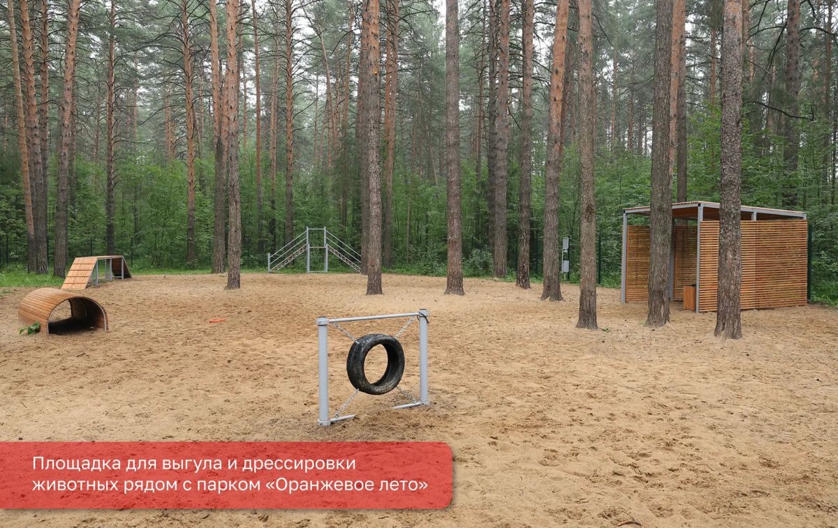 Эдуард Соснин: Активно работаем над созданием комфортной городской среды, в том числе для владельцев домашних питомцев Эдуард Соснин: Активно работаем над созданием комфортной городской среды, в том числе для владельцев домашних питомцев