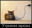 ������������ �������� ������� ��� ����� �������