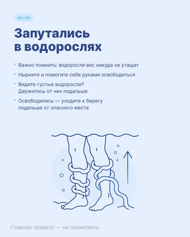 Главное правило — не паниковать Главное правило — не паниковать