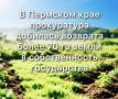 � ������ ��������� 2026 ���� ��������� ��������� � ���� ����� 50 ����� � ����� ���������� ����������������: ���������� ���������� ������, ���������� ������������ �������� ���, ���������� ����� �� ������ ����������� ��������...