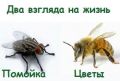 Как избавиться от привычки жаловаться и стать счастливее