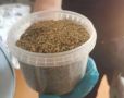 Кусты конопли и марихуану изъяли полицейские у жителя Оханского муниципального округа