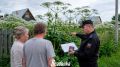В Прикамье владельцам участков запретили выезд за границу, чтобы заставить их убрать борщевик