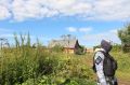 Судебные приставы добились очистки двух земельных участков от борщевика