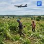 Борщевик закрыл пермским дачникам выезд за границу
