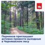 Август уже намекает нам о скорой осени, но мы не грустим! Ловим последние тёплые деньки и отправляемся за порцией свежего воздуха и хорошего настроения в Черняевский лес
