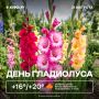 Доброе утро, Пермь! За окном сегодня облачно и дождливо