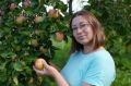 Эффективная защита яблонь: как защитить от парши и гнили