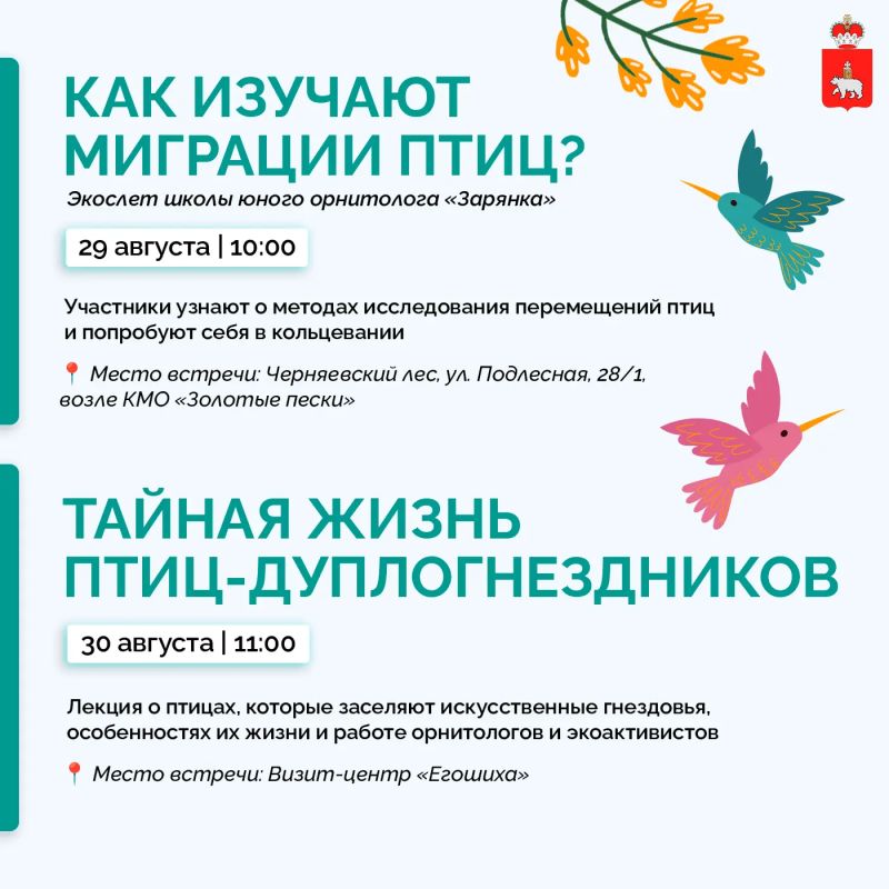 Кто живет в городских гнездовьях? Кто живет в городских гнездовьях?