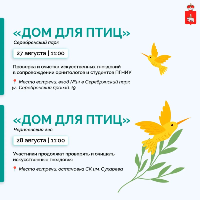 Кто живет в городских гнездовьях? Кто живет в городских гнездовьях?
