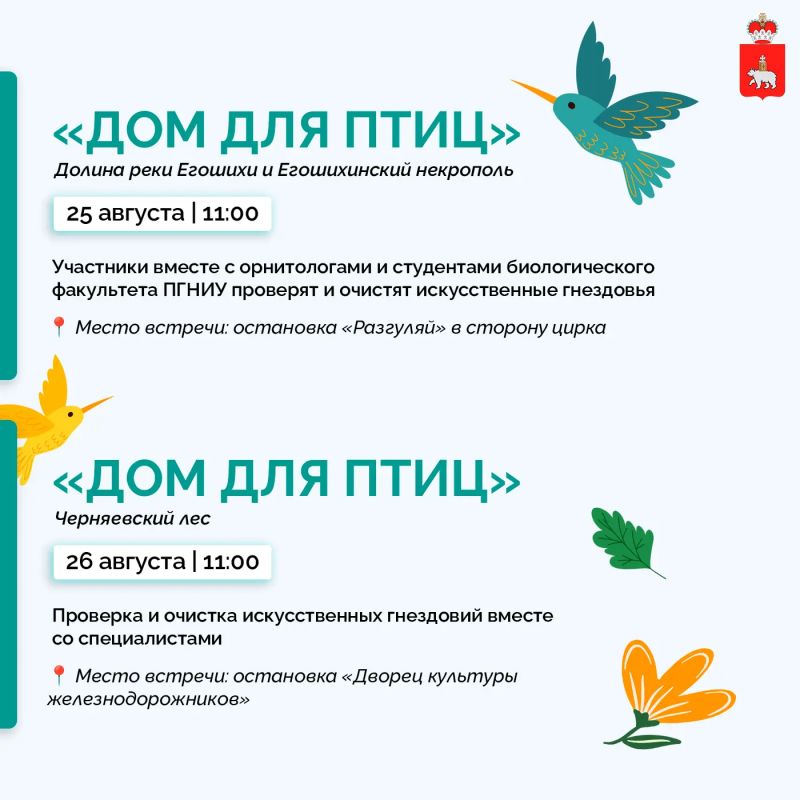 Кто живет в городских гнездовьях? Кто живет в городских гнездовьях?