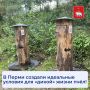 У визит-центра «Егошиха» появились настоящие домики для пчёл — уютные колоды, которые воссоздают естественную среду обитания