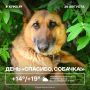 Доброе утро, Пермь! За окном сегодня до +19, возможен дождь