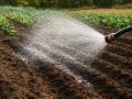 Неочевидные осенние лайфхаки с содой: как упростить жизнь дачнику