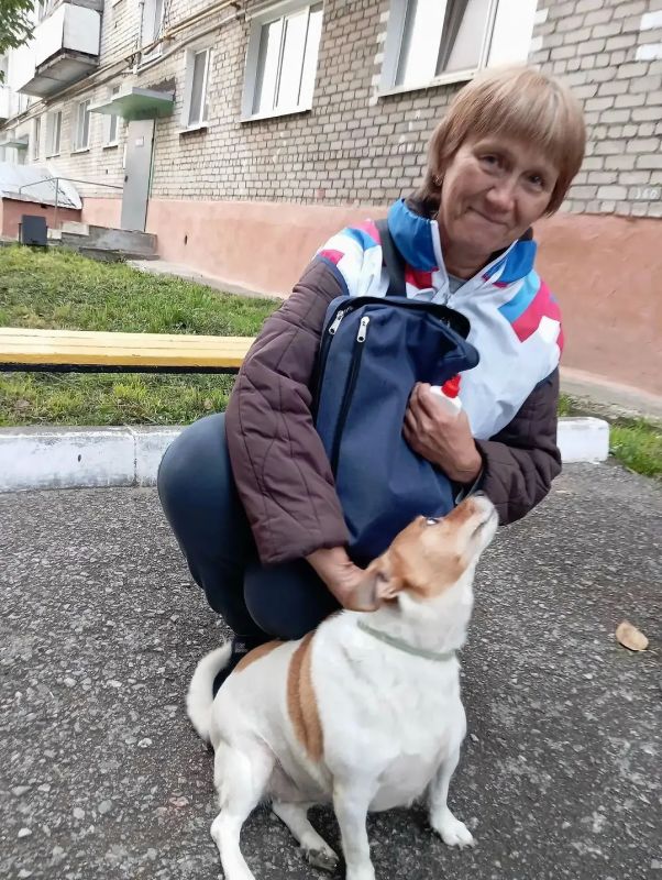 А вы знаете, что в проекте «ИнформУИК» участвуют не только члены участковых избирательных комиссий? Помогают им все без исключения домочадцы наших избирателей А вы знаете, что в проекте «ИнформУИК» участвуют не только члены участковых избирательных комиссий? Помогают им все без исключения домочадцы наших избирателей