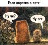 ��������� ���� ����. ������ �� 12 �����