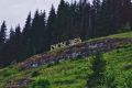 Доброе утро, пермяки!. Усьва Хорошего вам дня : Арина Русских Читать нас в Макс