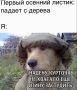 ������ ������� ��������� ������������� � �������� ����