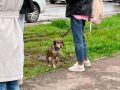 ��������� ��� � ������: ������ ������������� ���� �� ����� ���������� ���� ���������� ���, ��� ��� ����������� � ��������� ������, � ��������� ���� ��������� �������� �������������� ����� �������